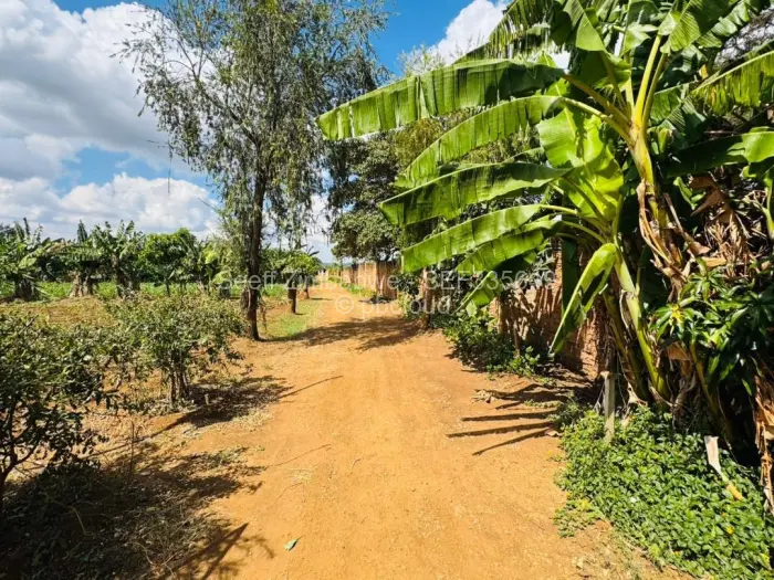 Farm/Plot for Sale in Norton, Norton