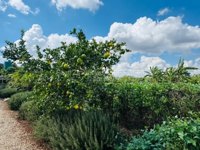 Farm/Plot for Sale in Norton, Norton