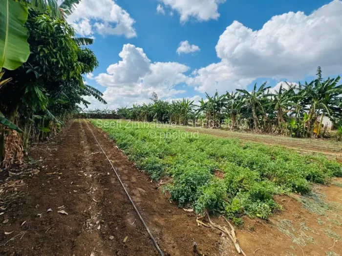 Farm/Plot for Sale in Norton, Norton