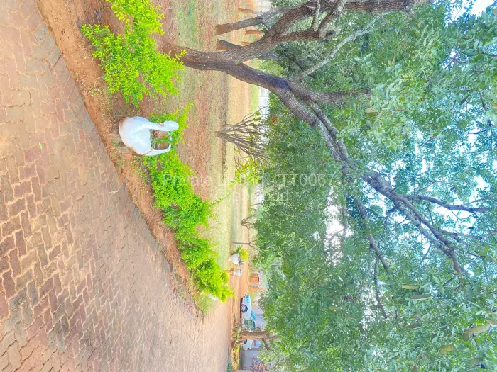 Residential Stand for Sale in Carrick Creagh Estate, Harare