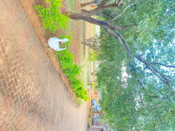 Residential Stand for Sale in Carrick Creagh Estate, Harare