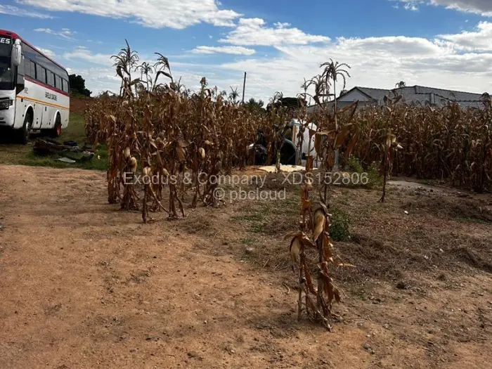 Residential Stand for Sale in Sunway City, Harare
