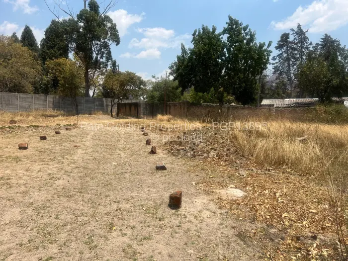 Farm/Plot for Sale in Arcturus, Arcturus