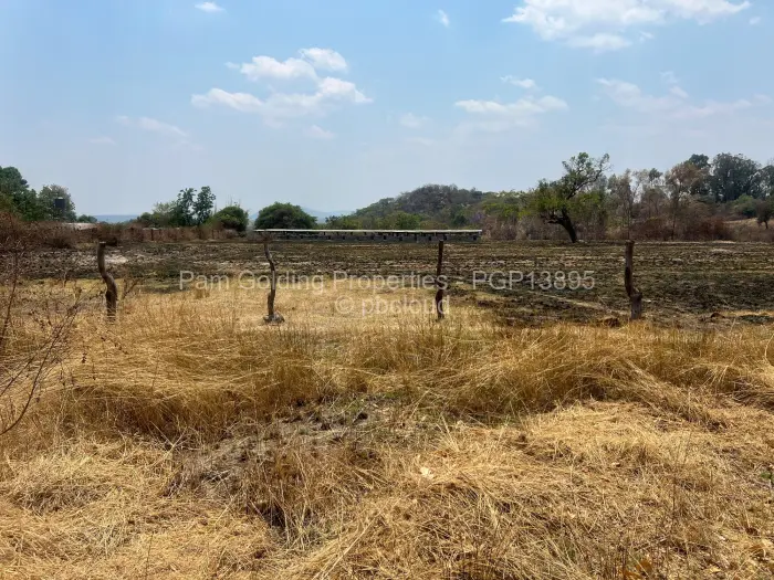 Farm/Plot for Sale in Arcturus, Arcturus