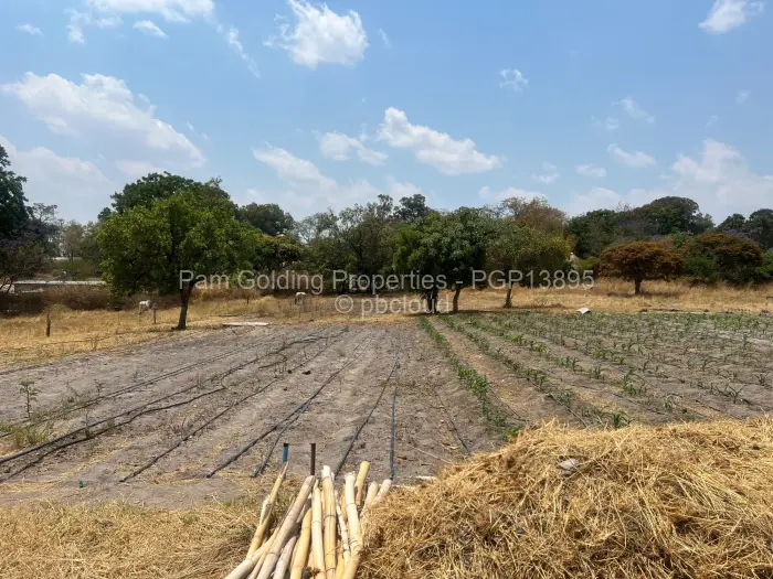 Farm/Plot for Sale in Arcturus, Arcturus