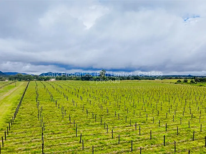 Farm/Plot for Sale in Odzi, Odzi