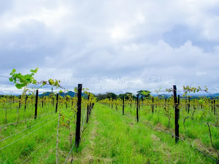 Farm/Plot for Sale in Odzi, Odzi