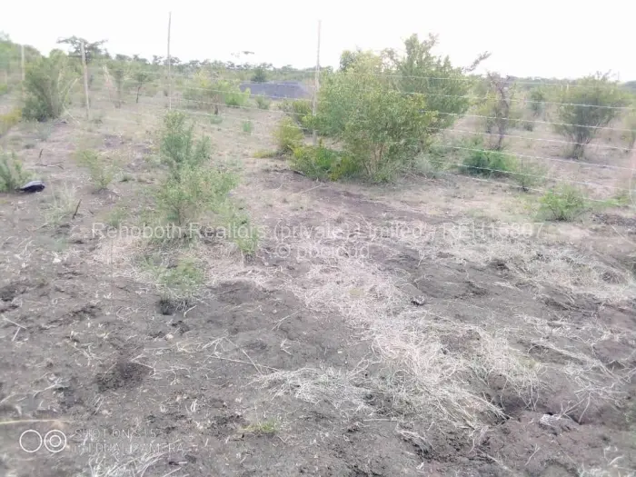 Farm/Plot for Sale in Selous, Selous
