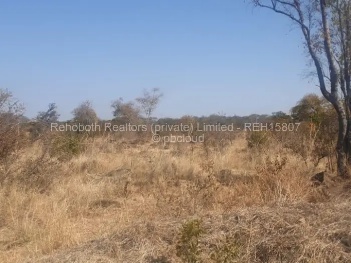 Farm/Plot for Sale in Selous, Selous