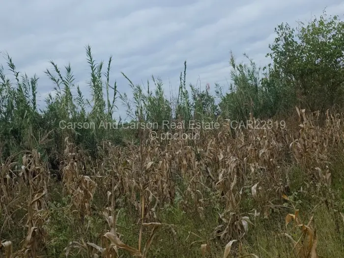 Residential Stand for Sale in Greendale, Harare