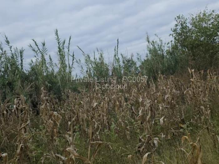 Commercial Stand for Sale in Greendale, Harare