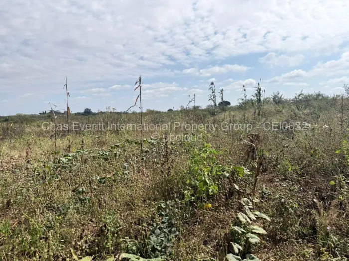 Farm/Plot for Sale in Kensington Byo, Bulawayo