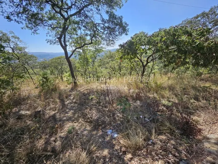 Residential Stand for Sale in Umwinsidale, Harare