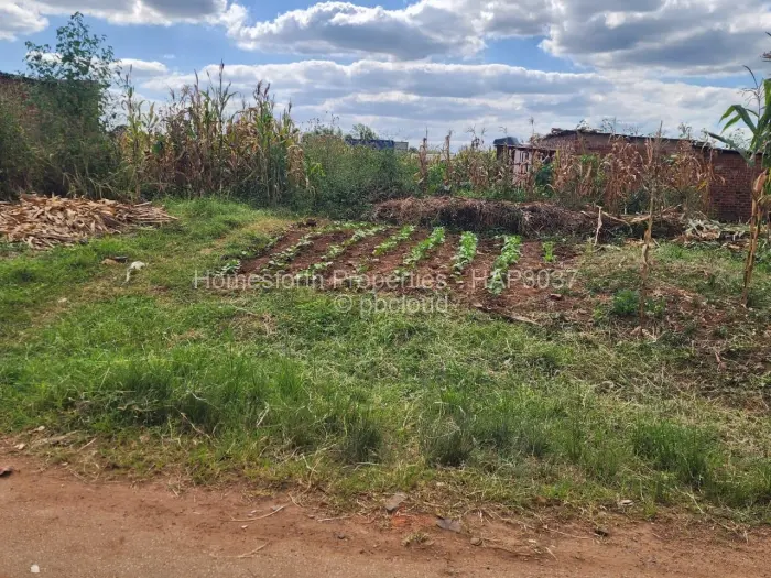 Commercial Stand for Sale in Dzivarasekwa, Harare