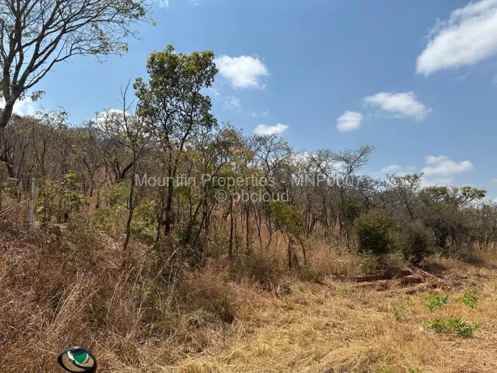 Farm/Plot for Sale in Shamva, Shamva
