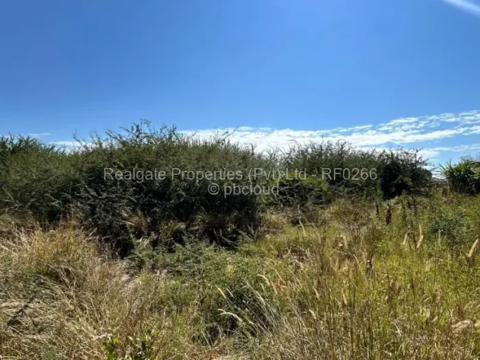 Residential Stand for Sale in Reigate, Bulawayo