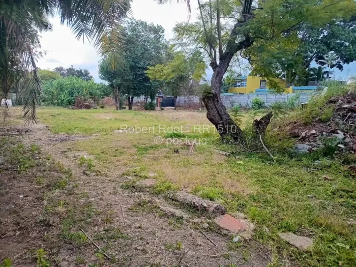 Commercial Stand for Sale in Avondale, Harare