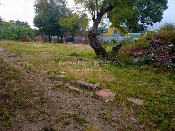 Commercial Stand for Sale in Avondale, Harare