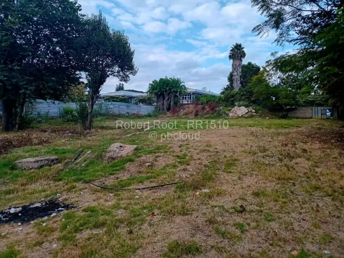 Commercial Stand for Sale in Avondale, Harare