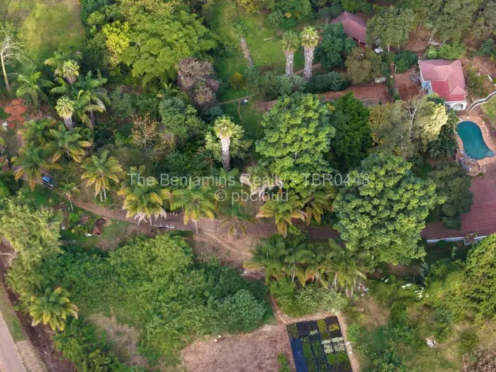 Residential Stand for Sale in Borrowdale, Harare