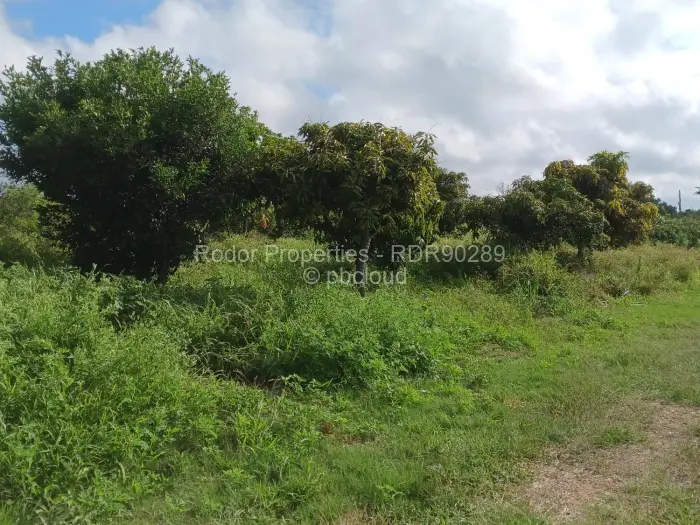 3 Bedroom House for Sale in Willsgrove, Bulawayo