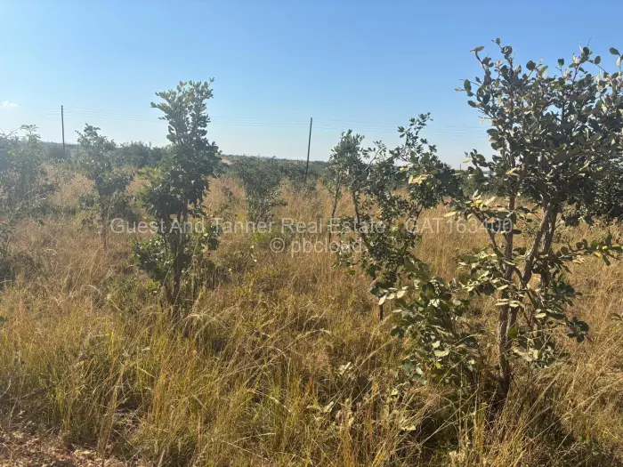 Residential Stand for Sale in Nyabira, Zvimba