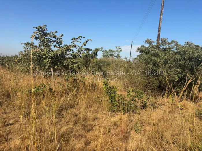 Residential Stand for Sale in Nyabira, Zvimba