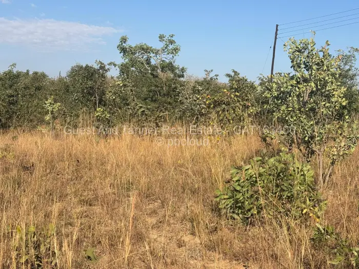 Residential Stand for Sale in Nyabira, Zvimba