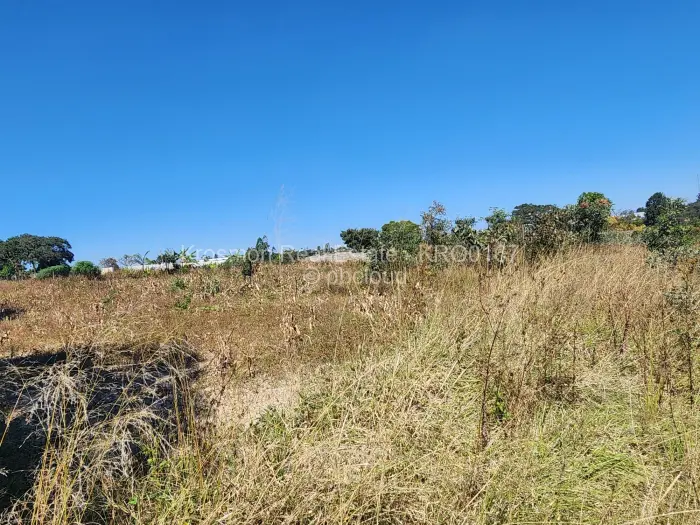 Industrial Stand for Sale in Marondera, Marondera