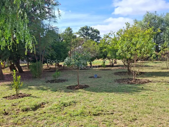 3 Bedroom House for Sale in Killarney, Bulawayo