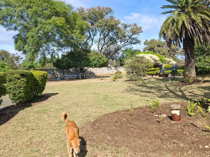 3 Bedroom House for Sale in Killarney, Bulawayo