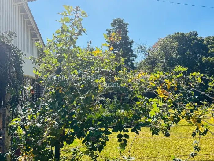 2 Bedroom House to Rent in Eastlea