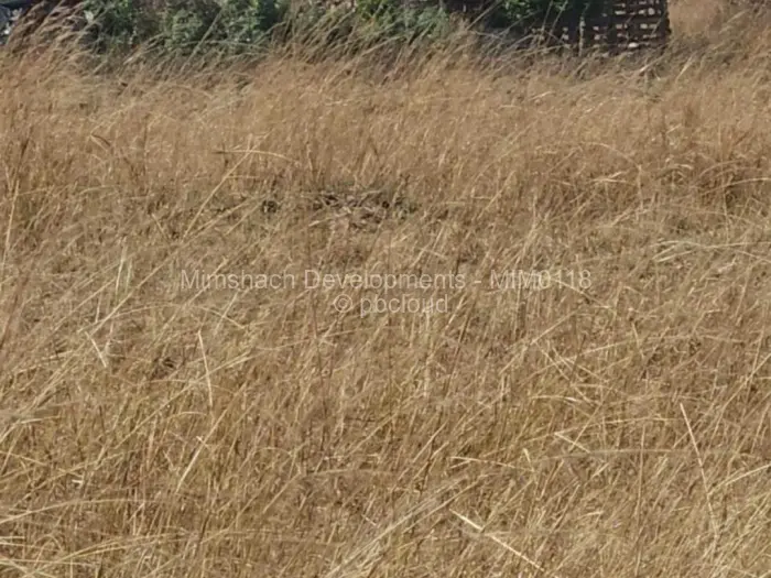 Farm/Plot for Sale in Nyabira, Zvimba