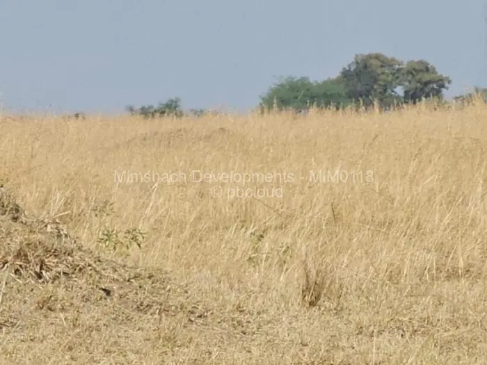 Farm/Plot for Sale in Nyabira, Zvimba