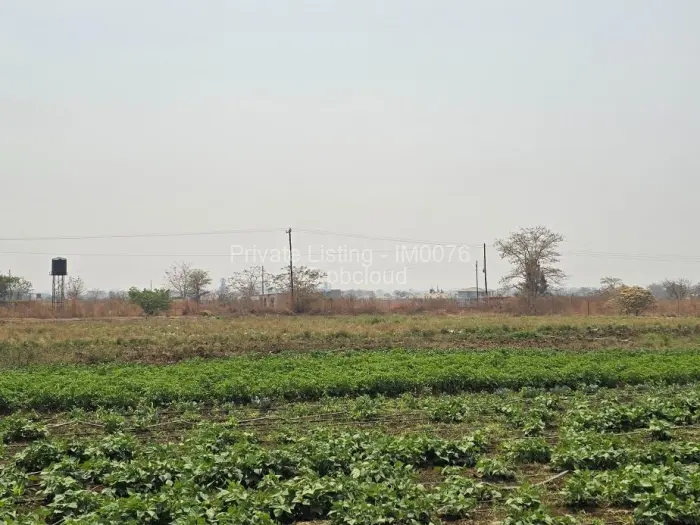 Farm/Plot for Sale in Galloway, Norton