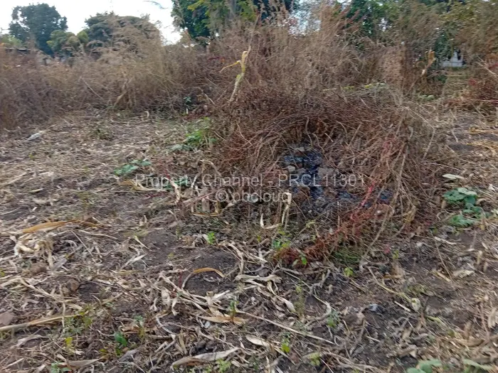 Residential Stand for Sale in Hatcliffe, Harare