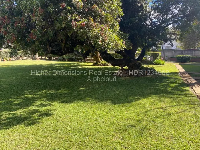 Flat/Apartment to Rent in Avondale