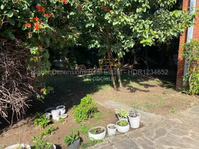 Flat/Apartment to Rent in Avondale