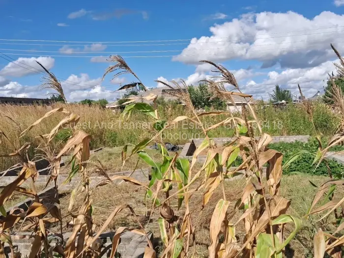 Residential Stand for Sale in Ruwa, Ruwa