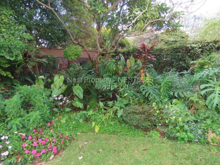 2 Bedroom Cottage/Garden Flat to Rent in Avondale, Harare