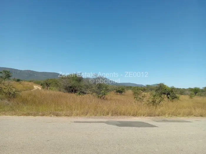 Commercial Stand for Sale in Wedza