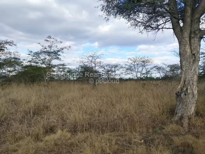 Farm/Plot for Sale in Trenance, Bulawayo