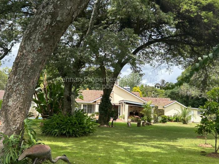 4 Bedroom House to Rent in Borrowdale, Harare