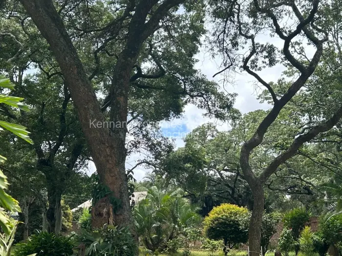 4 Bedroom House to Rent in Borrowdale, Harare