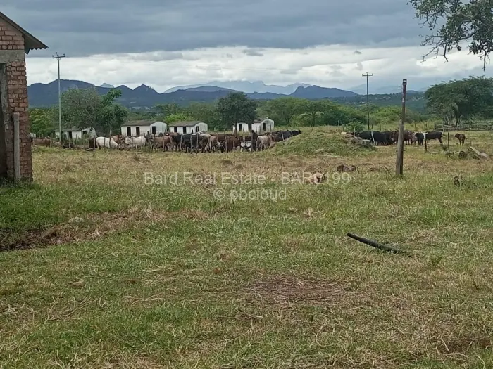 Farm/Plot for Sale in Westlea Mutare, Mutare