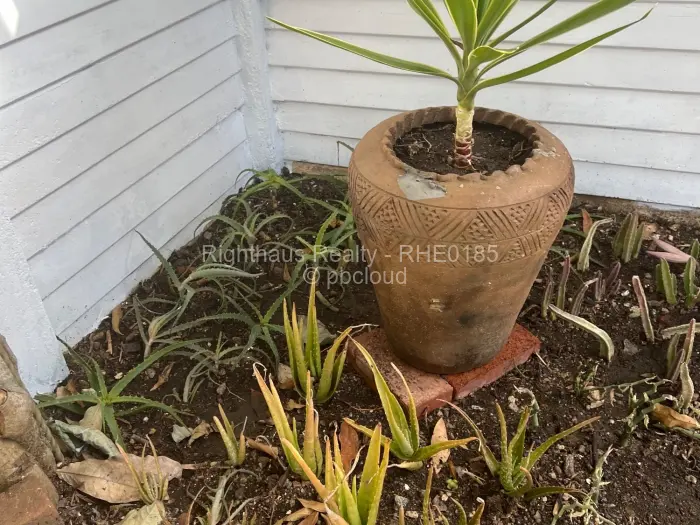 Flat/Apartment to Rent in Avondale