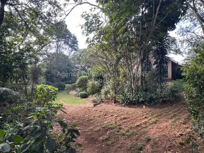 4 Bedroom House to Rent in Glen Lorne, Harare