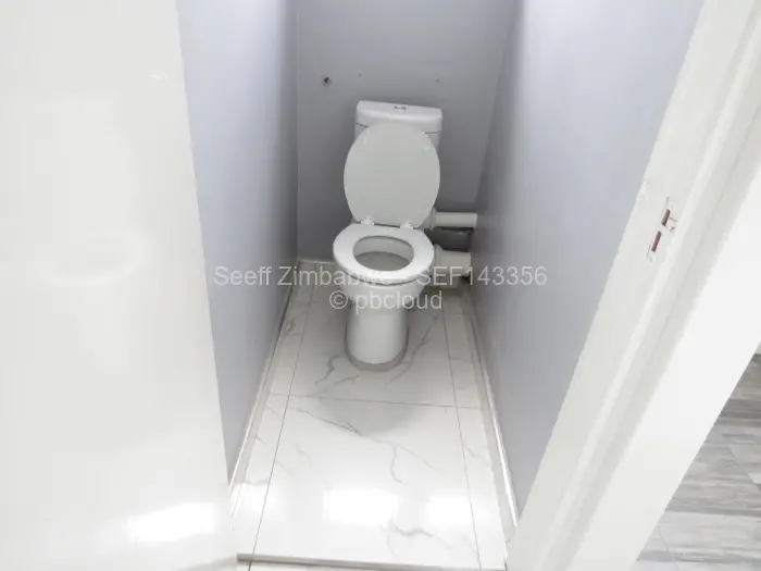 Flat/Apartment to Rent in Avenues