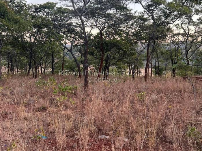 Residential Stand for Sale in Shawasha Hills, Harare