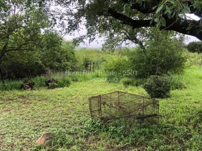 Residential Stand for Sale in Chipinge, Chipinge